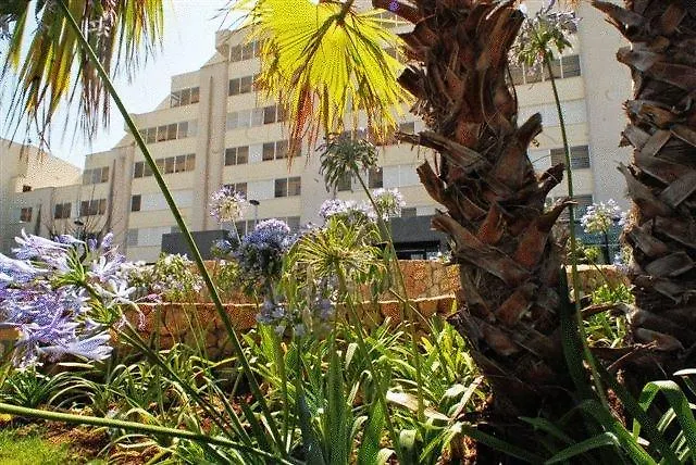**** Hotell Protur Palmeras Playa Sa Coma  Spanien