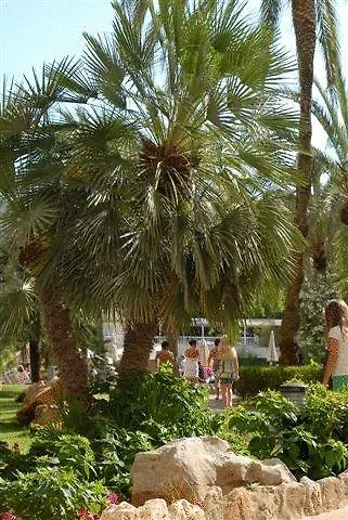 Protur Palmeras Playa Sa Coma  Spain